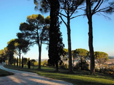 Farmhouse Wohnung in einem Landhaus mit 2 Pools - Environment photo 28