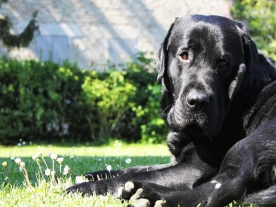 Farmhouse Wohnung in einem Landhaus mit 2 Pools - Outdoor photo 40