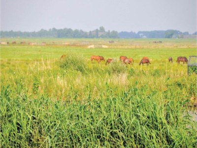 Holiday house Holiday Home in Grou near Cycling Route - Environment photo 18