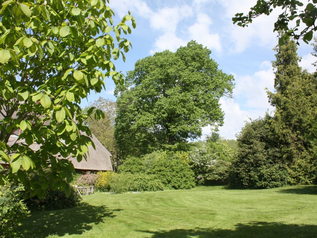 Guesthouse "Der Holthof" - Gäste- und Seminarhaus - Outdoor photo 4