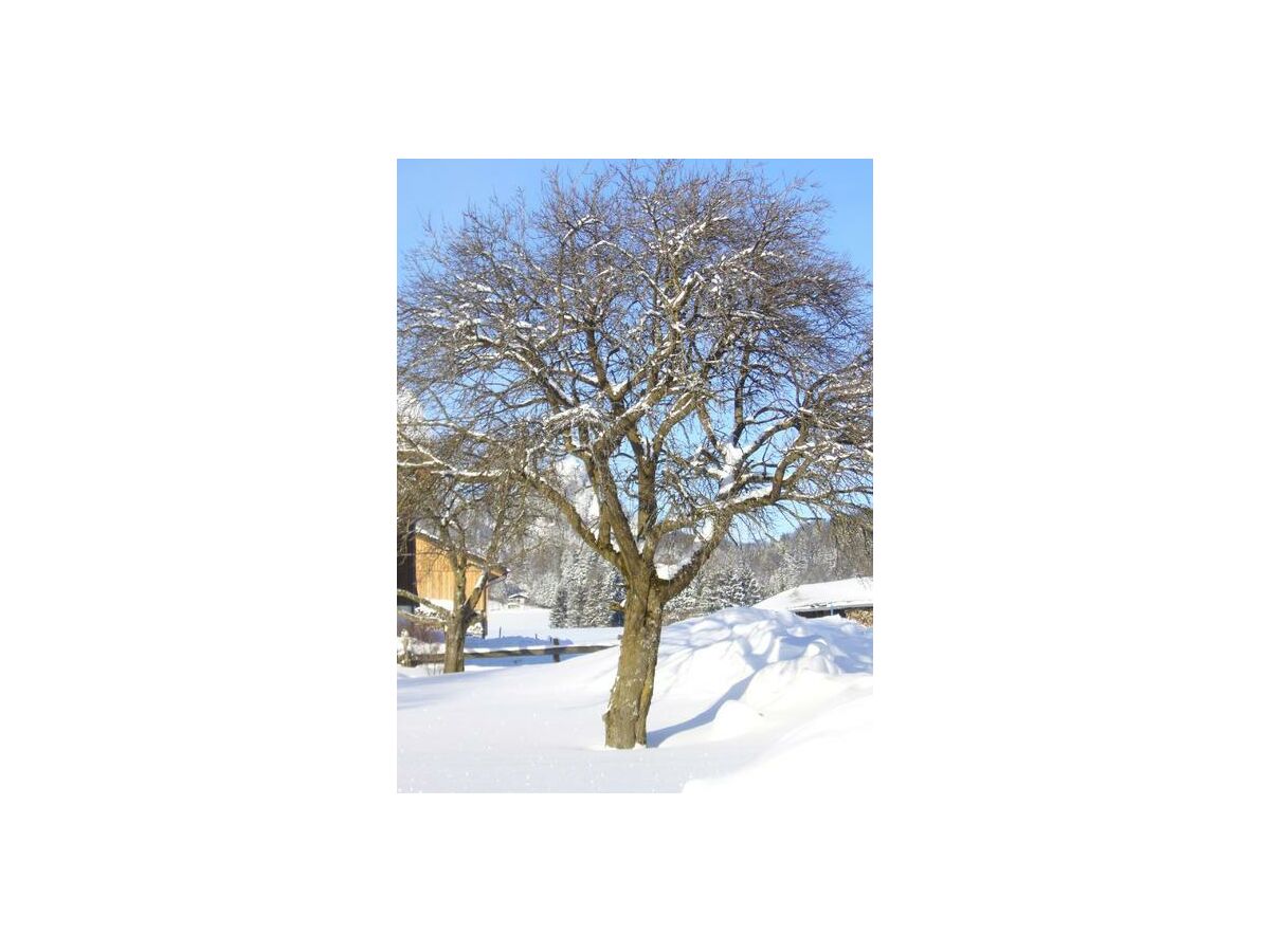 Holiday room Doppelzimmer 2 - Outdoor photo 4