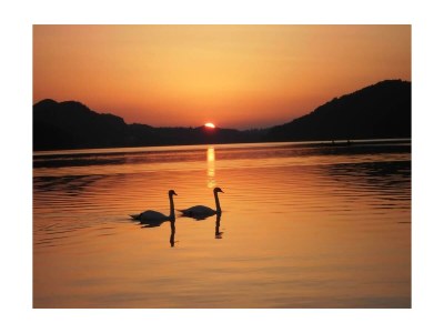 Holiday room Doppelzimmer "Fuschlsee" mit Balkon - Outdoor photo 6