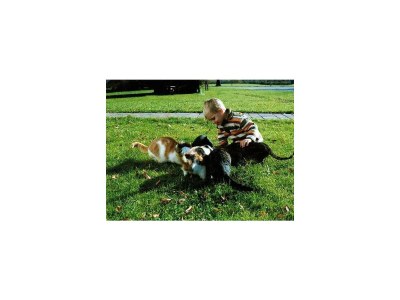 Holiday room Doppelzimmer Komfort - Outdoor photo 8