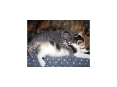 Holiday room Doppelzimmer Komfort - Outdoor photo 9