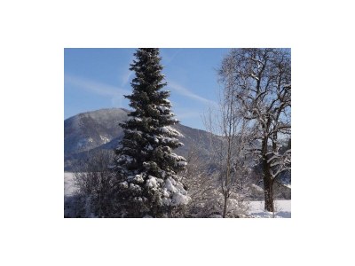 Holiday room Doppelzimmer Komfort - Outdoor photo 21