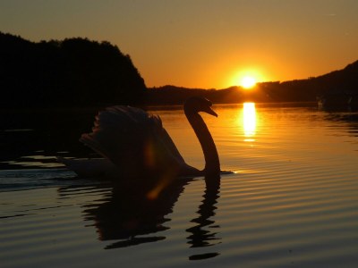Holiday room Seeblickzimmer K - Outdoor photo 12