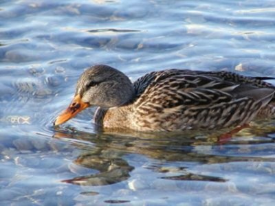 Holiday room Seeblickzimmer K - Outdoor photo 61