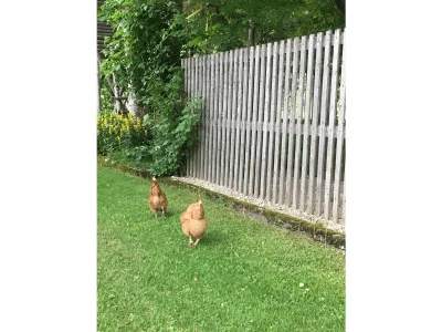 Apartment Ferienwohnung I - 1 Schlafzimmer - Outdoor photo 19