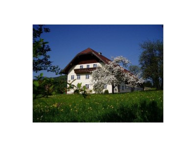 Holiday room Doppelzimmer 1 in Faistenau - Holiday room