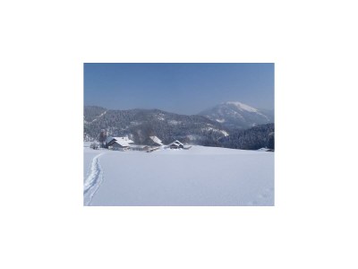 Apartment Ferienwohnung - Outdoor photo 8