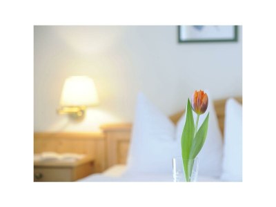 Apartment Ferienwohnung Filbling - Outdoor photo 45