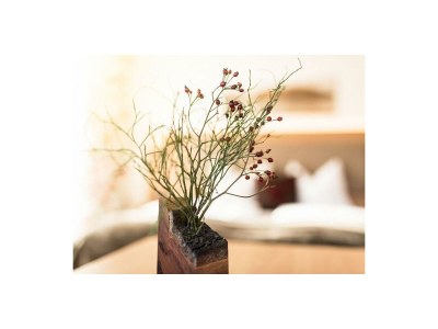 Apartment Ferienwohnung Filbling - Outdoor photo 77