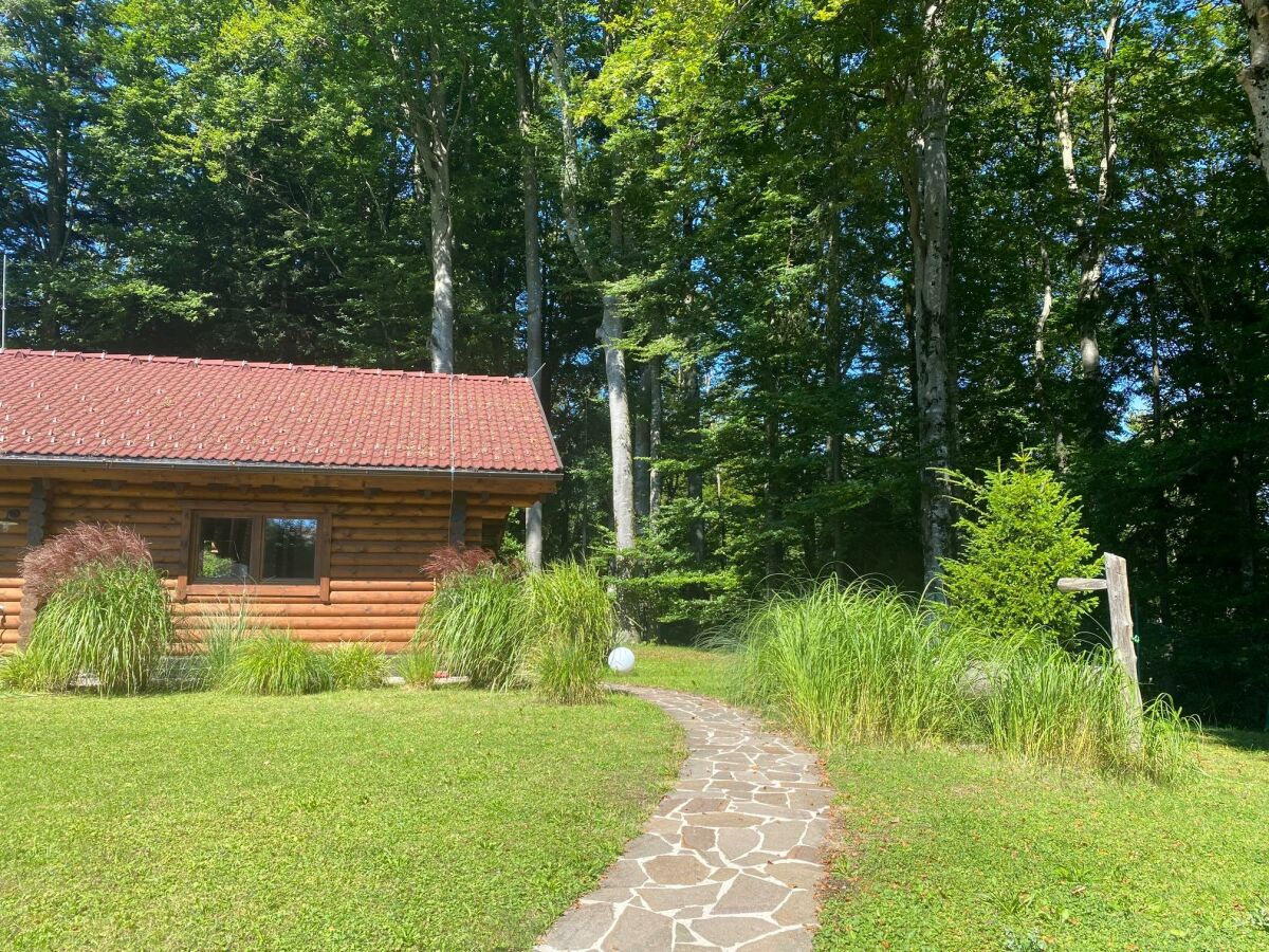 Apartment Ferienhaus, Toilette und Bad/Dusche getrennt, wald - Outdoor photo 4
