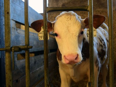 Holiday room Familienzimmer Klassik - Outdoor photo 9