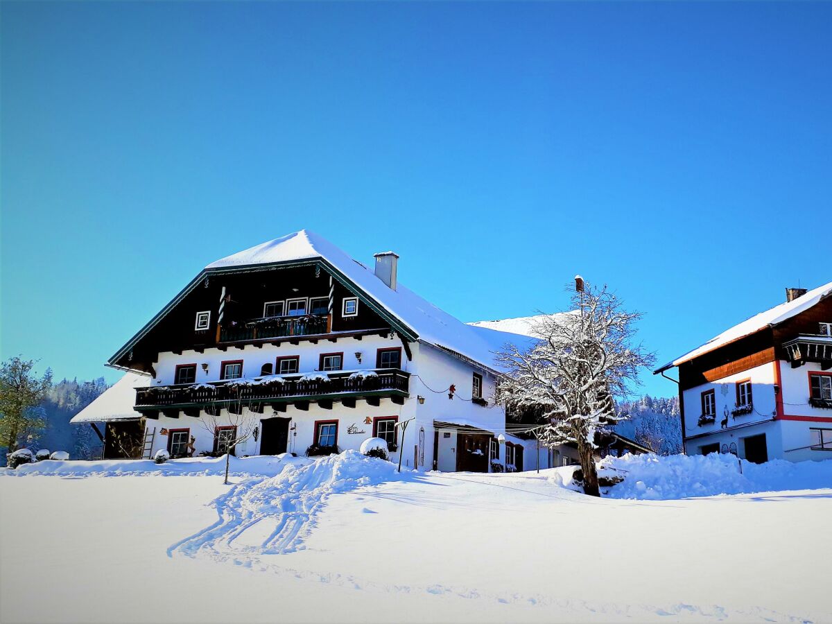 Apartment Ferienwohnung Fuschlsee - Outdoor photo 2