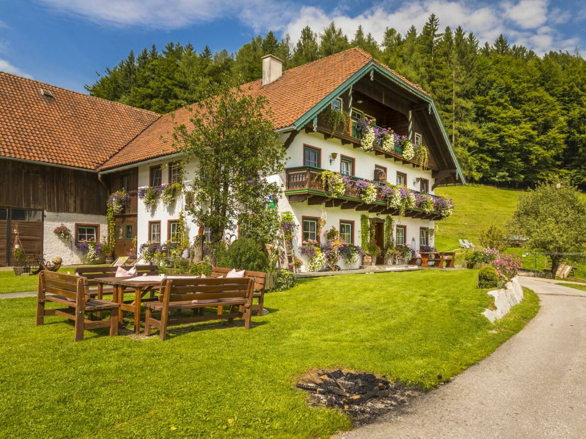 Apartment Ferienwohnung Fuschlsee - Outdoor photo 5