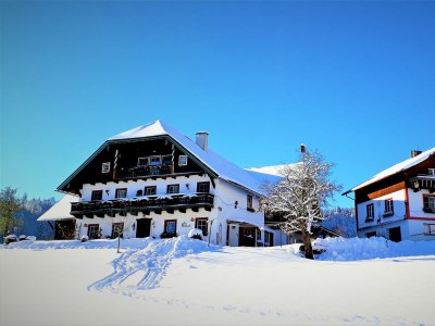 Apartment Ferienwohnung Fuschlsee - Outdoor photo 2