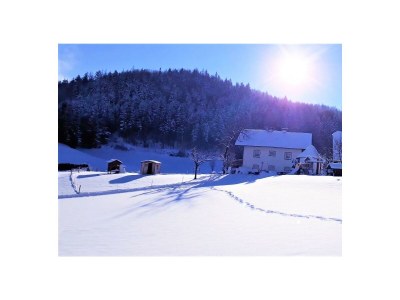 Apartment Ferienwohnung Fuschlsee - Outdoor photo 3