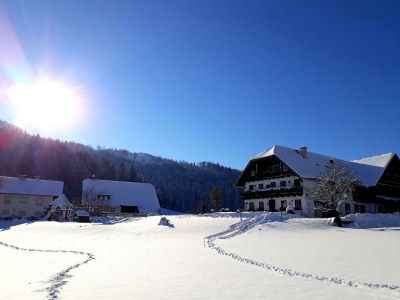 Apartment Ferienwohnung Fuschlsee - Outdoor photo 4