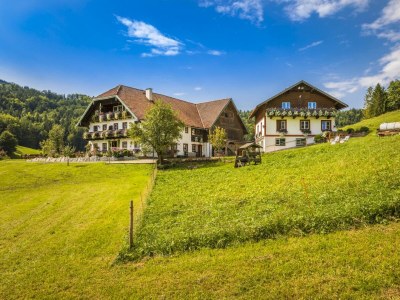 Apartment Ferienwohnung Fuschlsee - Outdoor photo 6