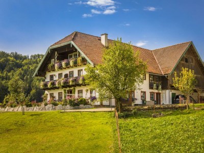 Apartment Ferienwohnung Fuschlsee - Outdoor photo 9