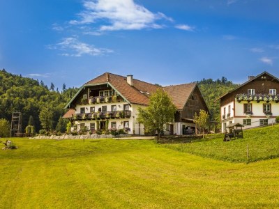 Apartment Ferienwohnung Fuschlsee - Outdoor photo 28