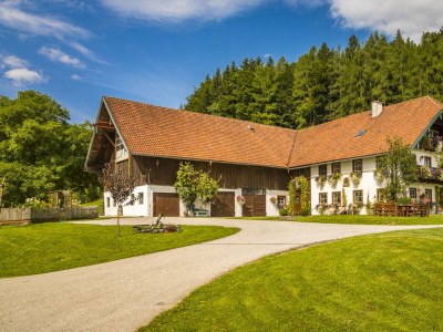 Apartment Ferienwohnung Fuschlsee - Outdoor photo 29