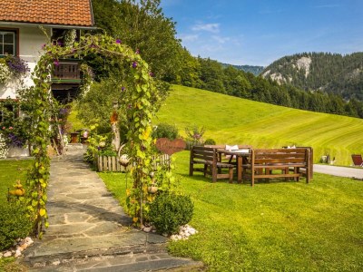 Apartment Ferienwohnung Fuschlsee - Outdoor photo 31