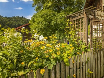 Apartment Ferienwohnung Fuschlsee - Outdoor photo 32