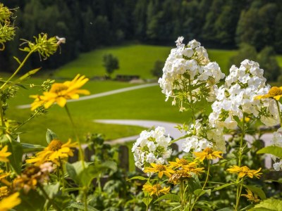 Apartment Ferienwohnung Fuschlsee - Outdoor photo 33