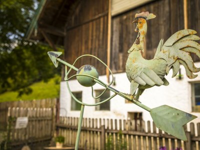 Apartment Ferienwohnung Fuschlsee - Outdoor photo 35