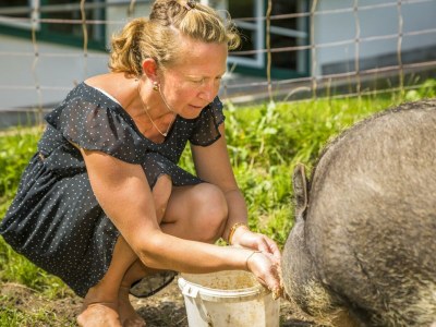 Apartment Ferienwohnung Fuschlsee - Outdoor photo 41