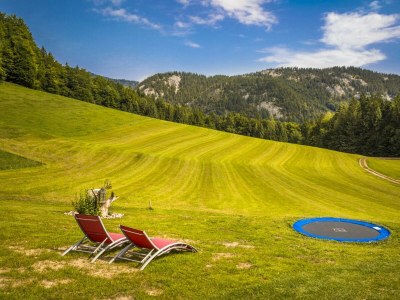 Apartment Ferienwohnung Fuschlsee - Outdoor photo 60