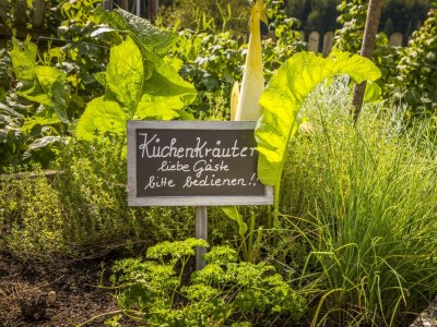 Apartment Ferienwohnung Fuschlsee - Outdoor photo 70