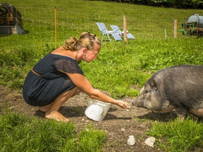 Apartment Ferienwohnung Fuschlsee - Outdoor photo 75