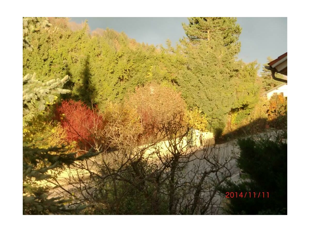 Apartment Appartement/Fewo mit Terrasse und Garten - Outdoor photo 2