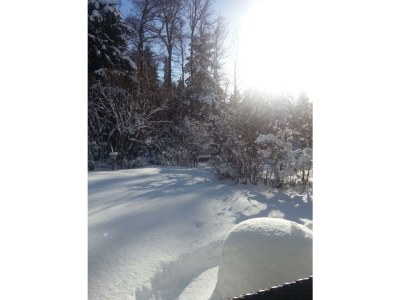 Apartment Appartement/Fewo mit Terrasse und Garten - Outdoor photo 12