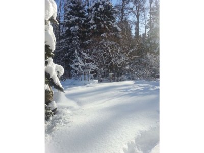 Apartment Appartement/Fewo mit Terrasse und Garten - Outdoor photo 20