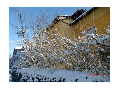 Apartment Appartement/Fewo mit Terrasse und Garten - Outdoor photo 22