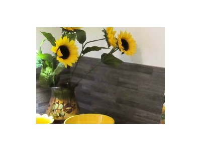 Apartment Appartement/Fewo mit Terrasse und Garten - Features photo 29