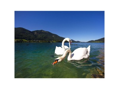 Holiday room Doppelzimmer Bergblick - Outdoor photo 26