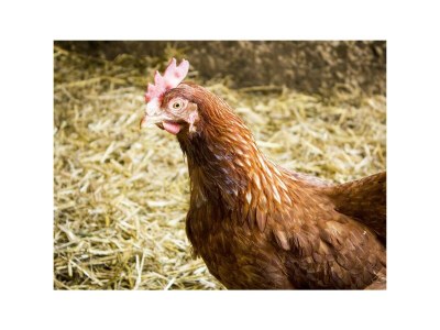 Apartment Familienzimmer, Dusche, WC, Bergseite - Outdoor photo 2