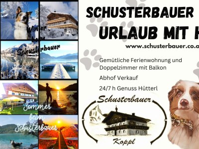 Apartment Familienzimmer, Dusche, WC, Bergseite - Outdoor photo 6