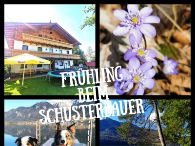 Apartment Familienzimmer, Dusche, WC, Bergseite - Outdoor photo 7