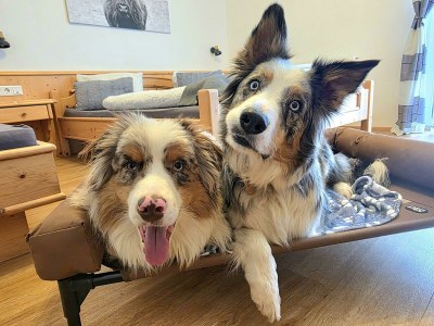 Apartment Familienzimmer, Dusche, WC, Bergseite - Outdoor photo 8