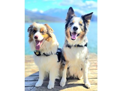 Apartment Familienzimmer, Dusche, WC, Bergseite - Outdoor photo 14