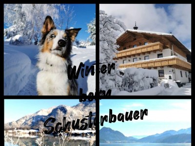 Apartment Familienzimmer, Dusche, WC, Bergseite - Outdoor photo 17