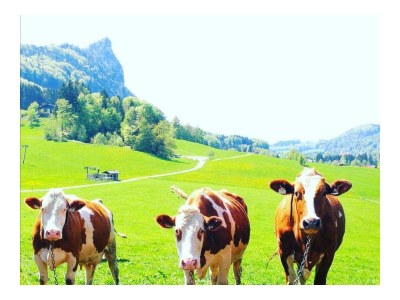Apartment Familienzimmer, Dusche, WC, Bergseite - Outdoor photo 20