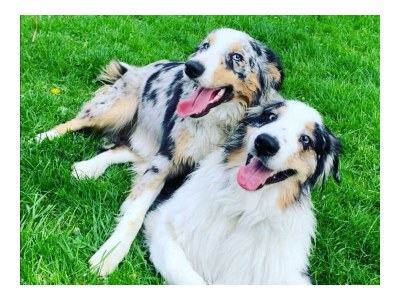 Apartment Familienzimmer, Dusche, WC, Bergseite - Outdoor photo 21