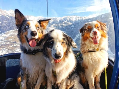 Apartment Familienzimmer, Dusche, WC, Bergseite - Outdoor photo 22